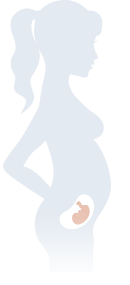Hamilelikte 22.Hafta